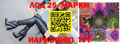 мдпв Камышлов