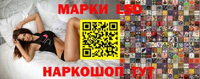 мдпв Камышлов