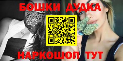 мдпв Камышлов