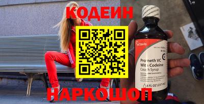 мдпв Камышлов
