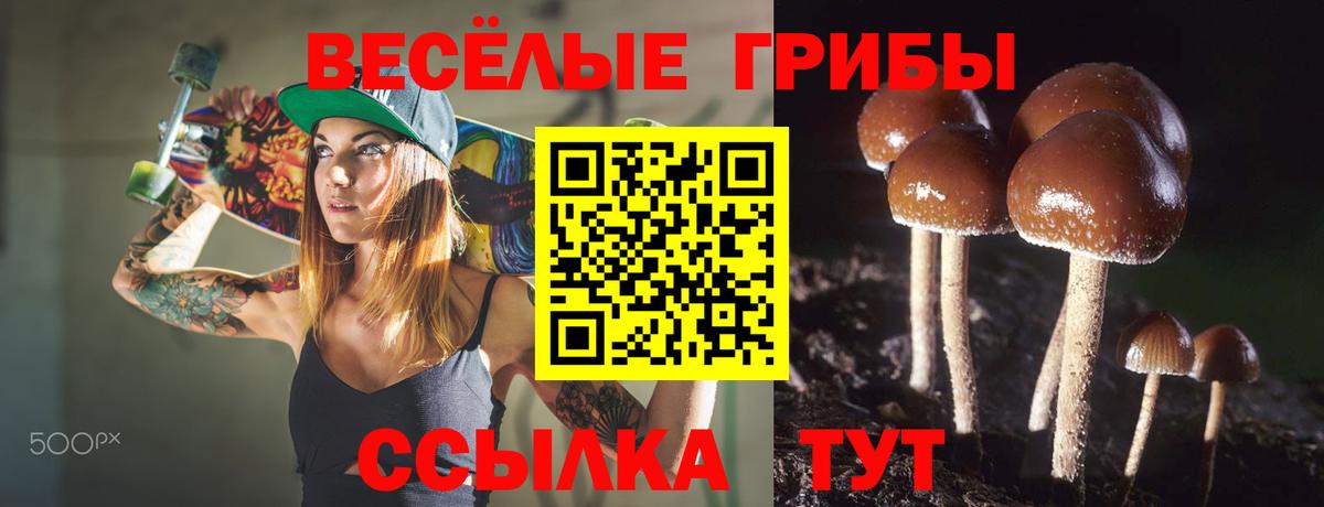 Чебаркуль  Псилоцибиновые грибы Psilocybine cubensis  Галлюциногенные грибы ЛСД  где найти   Вход с VPN 